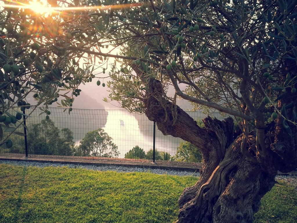 Quinta Das Tilias Douro Valley Cabaca Exterior foto