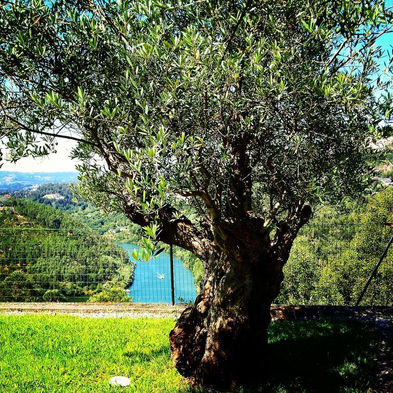 Quinta Das Tilias Douro Valley Cabaca Exterior foto